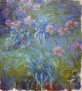 Claude Monet, Agapanthus